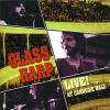 Glass Harp Live at Carnegie Hall
