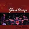 Glass Harp Strings Attached